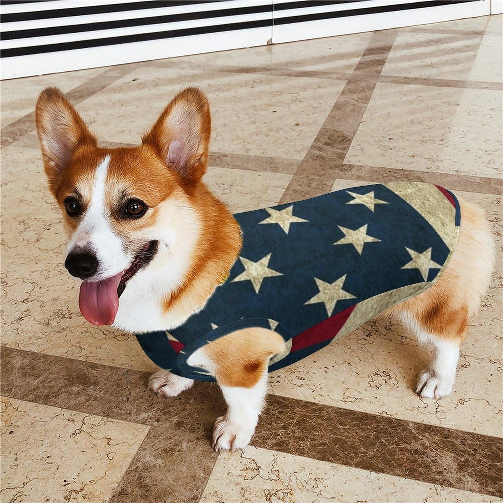 犬の服　国旗柄 Amazon.co.jp: アメリカ国旗 星条旗 ペット服 犬服 春夏秋 T